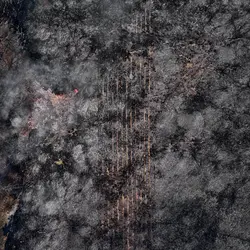 March 2021 (Shaker Village of Pleasant Hill)